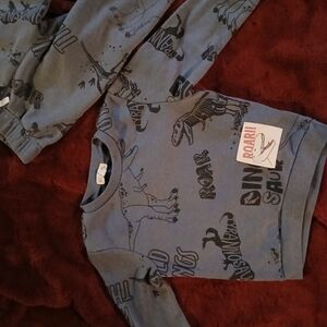 Dinosaur Print Blue Sweatshirt Size 4t